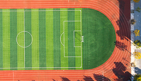 Sports Grass