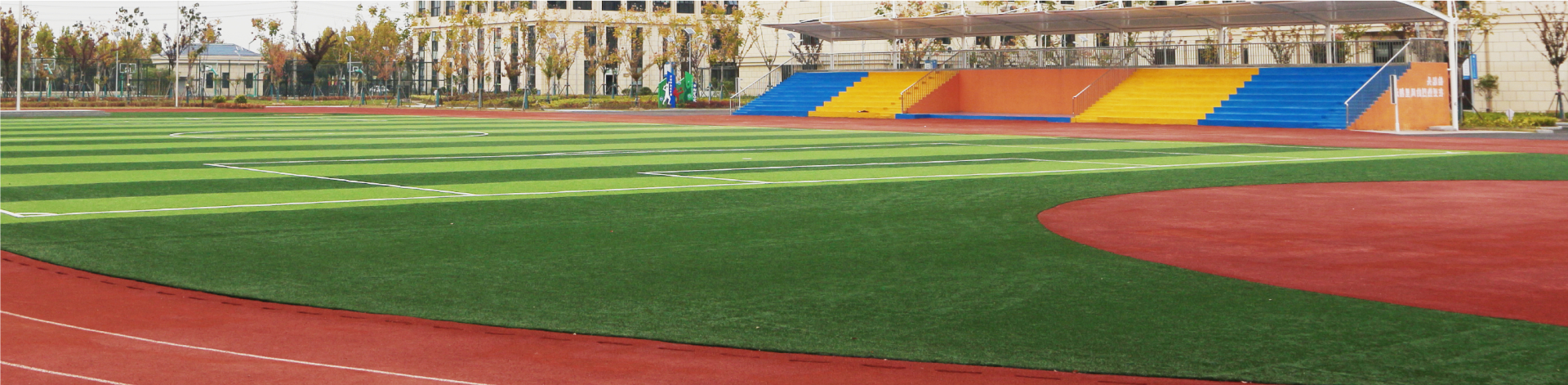 Sports Grass
