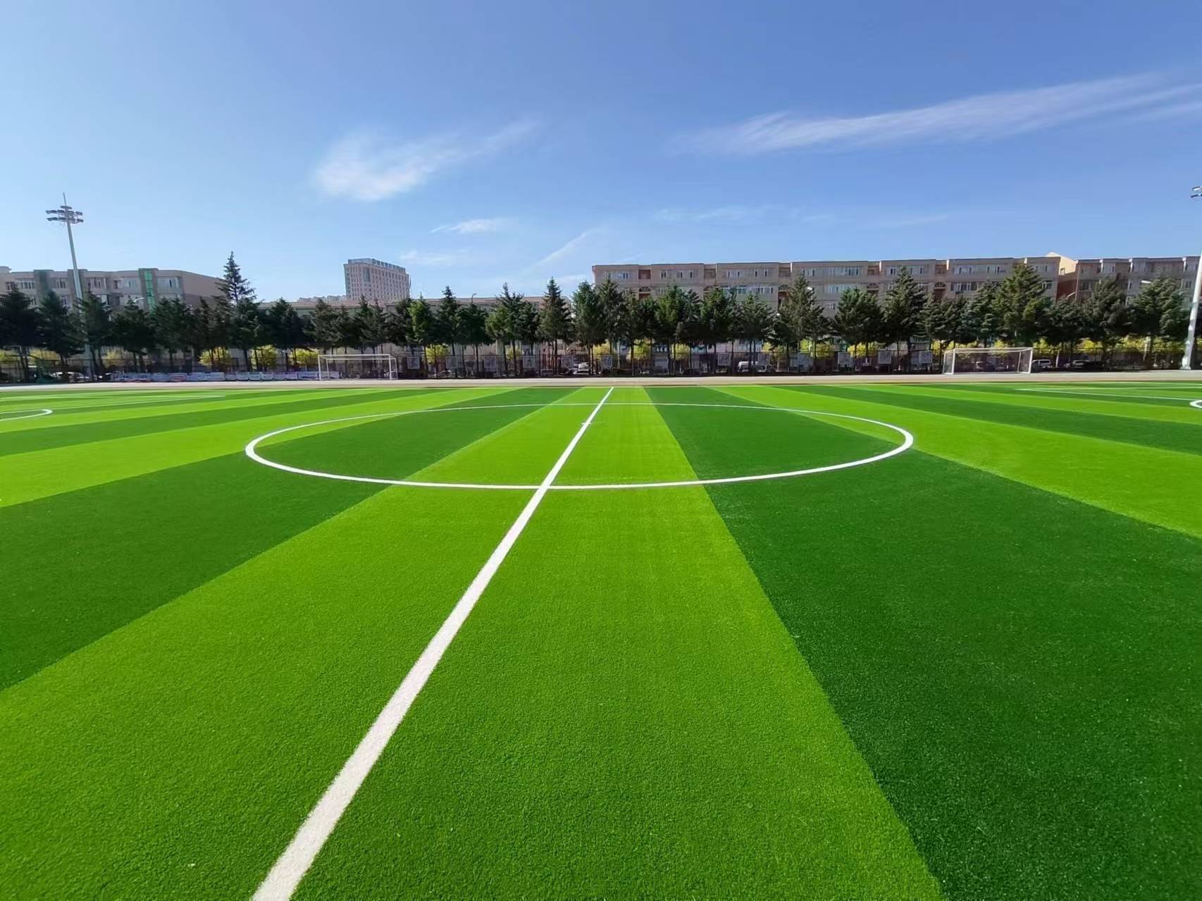 All Sports Grass