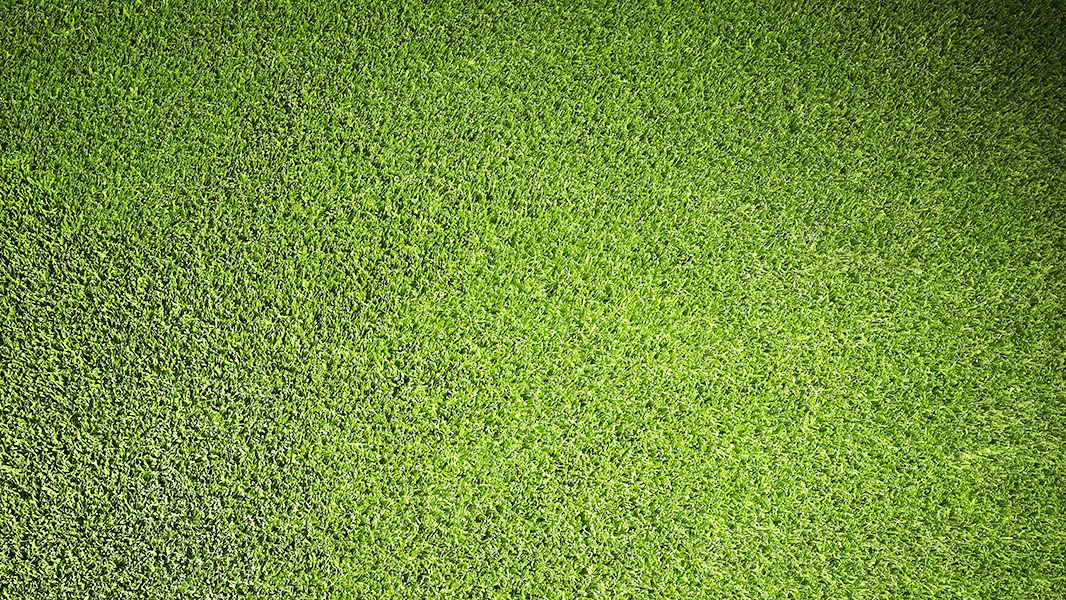 Artificial Grass Mini Rolls 