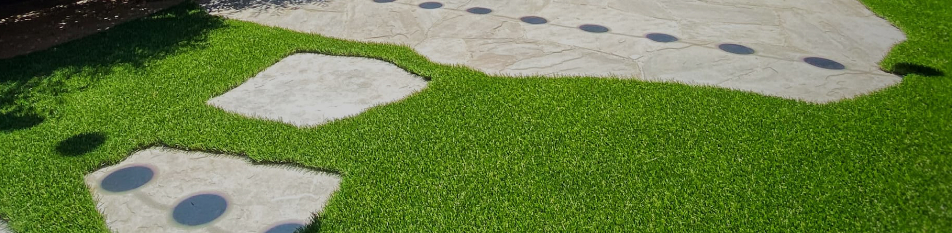 Landscape Grass
