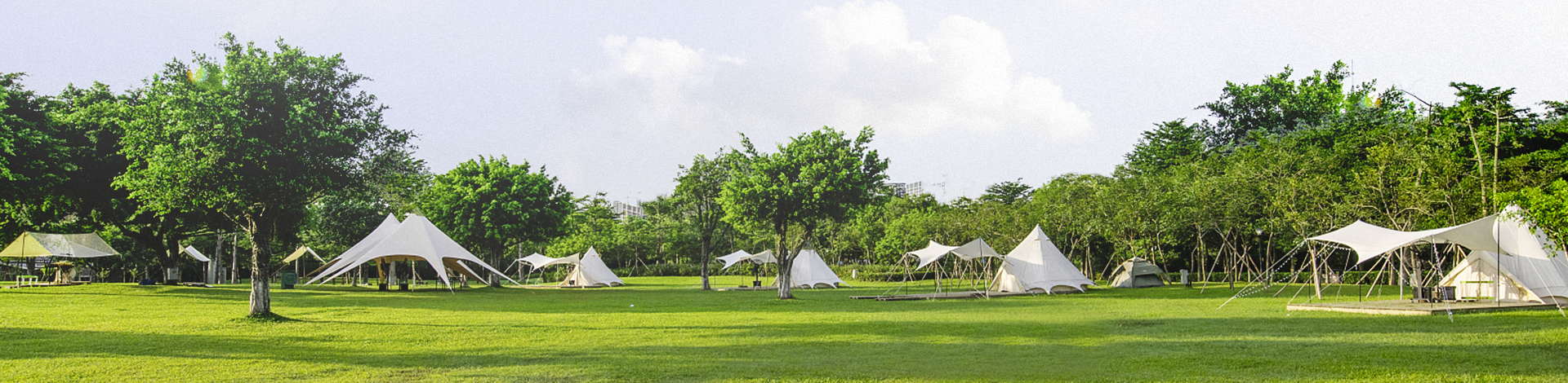 Leisure Grass