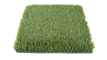 S38DP-TM145-4018-BL 