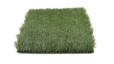 S58DP-SS110-5020-RO-A6 