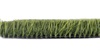 S38DP-TM145B-4018-BL 