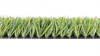 S58DP-BS110-5018RO 