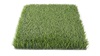 S38DP-TM145B-4018-BL 