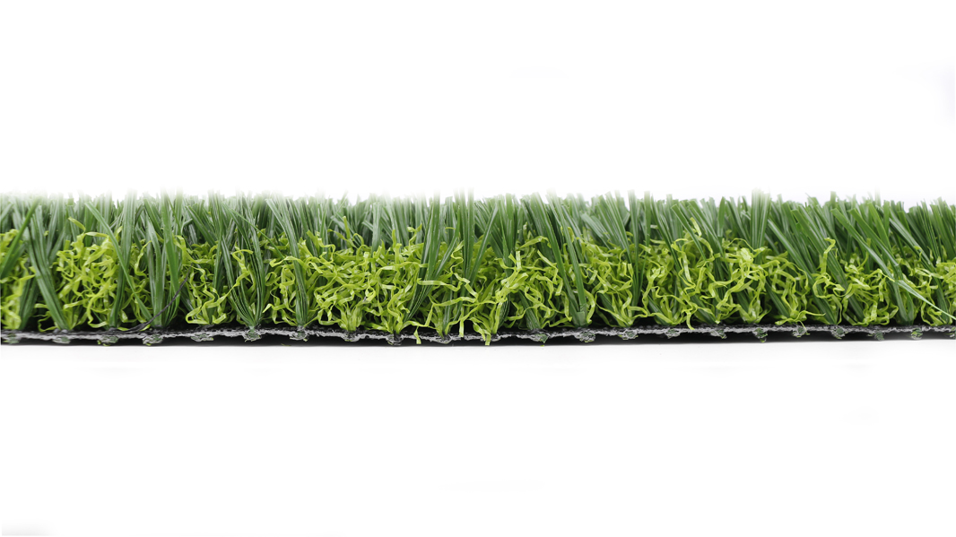 S38DW-SM143B-3020-SO