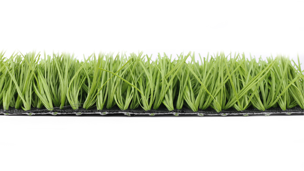 S58FW-SS135-5016-BL1-Z