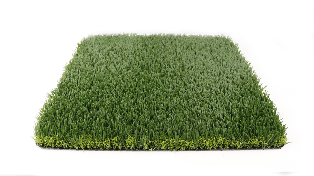 S38DW-SM143B-3020-SO